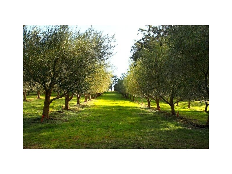 840 Sheffield Road, Lower Barrington TAS 7306