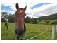 259 Melrose Road, Aberdeen TAS 7310