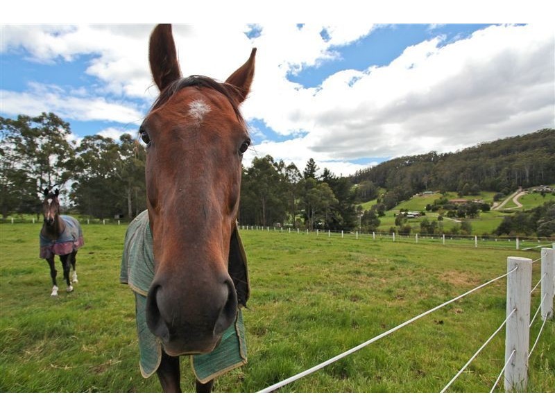 259 Melrose Road, Aberdeen TAS 7310