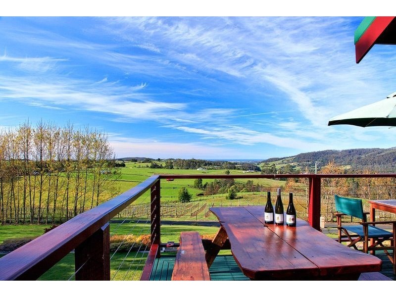 60 Gillams Road, Barringwood Park Vineyard, Lower Barrington TAS 7306