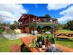 60 Gillams Road, Barringwood Park Vineyard, Lower Barrington TAS 7306