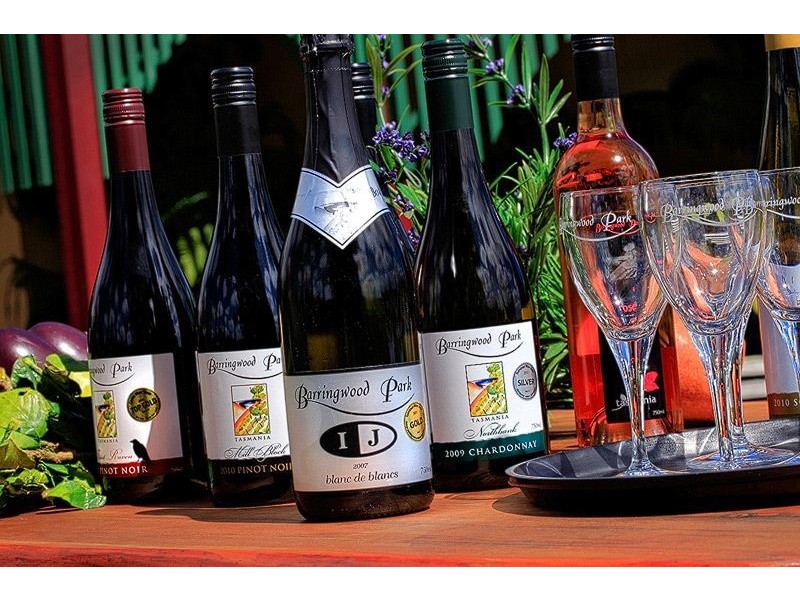 60 Gillams Road, Barringwood Park Vineyard, Lower Barrington TAS 7306