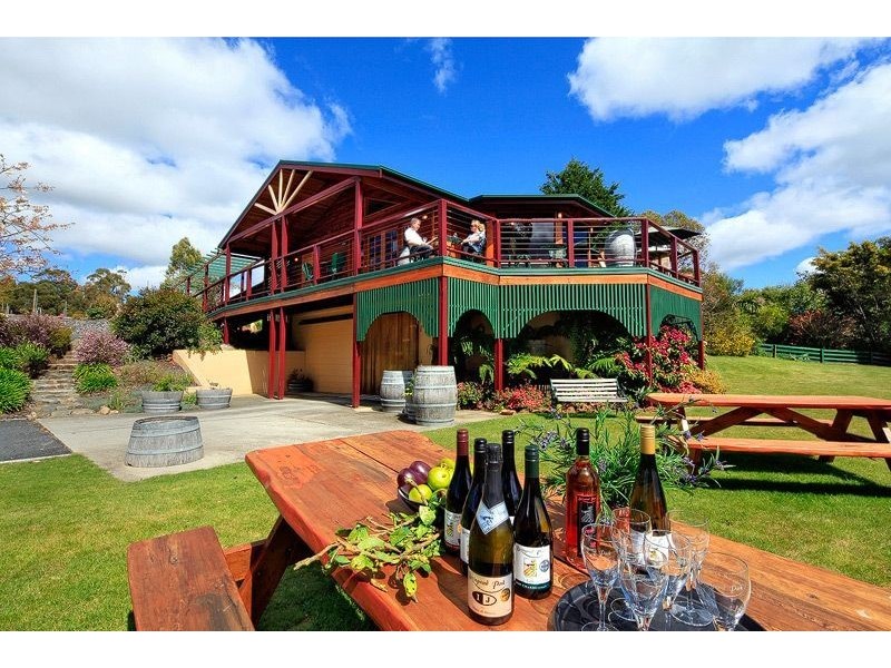 60 Gillams Road, Barringwood Park Vineyard, Lower Barrington TAS 7306