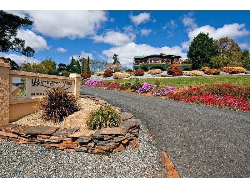 60 Gillams Road, Barringwood Park Vineyard, Lower Barrington TAS 7306
