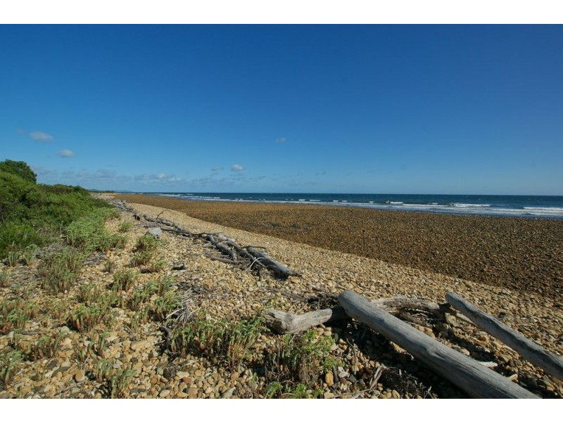 118 Beach Road, Leith TAS 7315