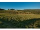11 Roope Road, Lower Barrington TAS 7306