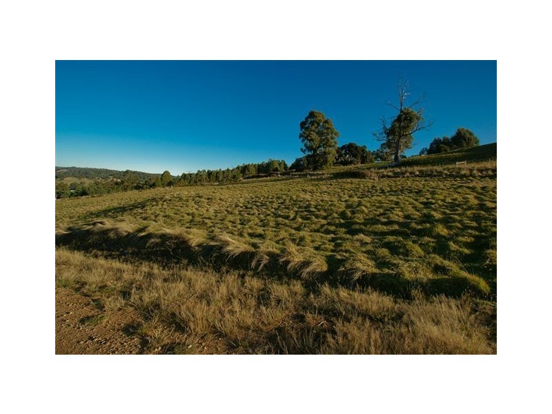 11 Roope Road, Lower Barrington TAS 7306