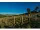 11 Roope Road, Lower Barrington TAS 7306