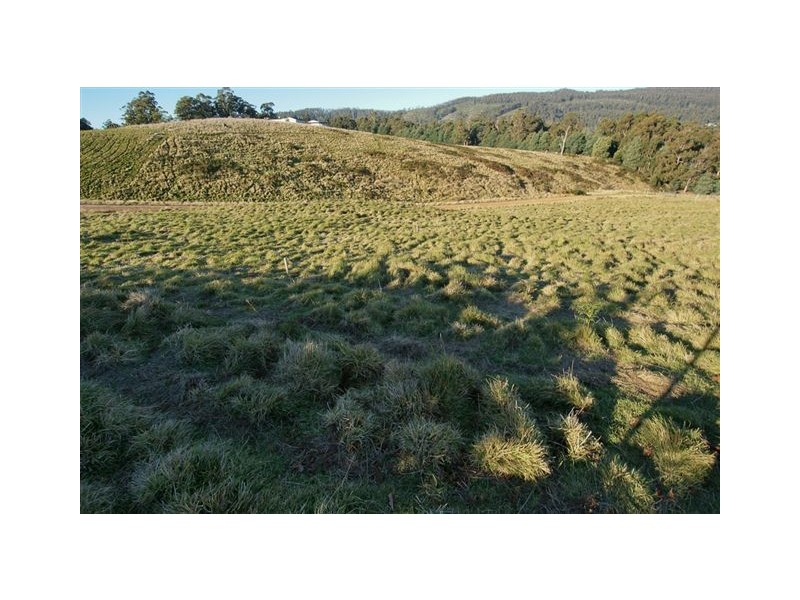 11 Roope Road, Lower Barrington TAS 7306