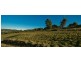 11 Roope Road, Lower Barrington TAS 7306