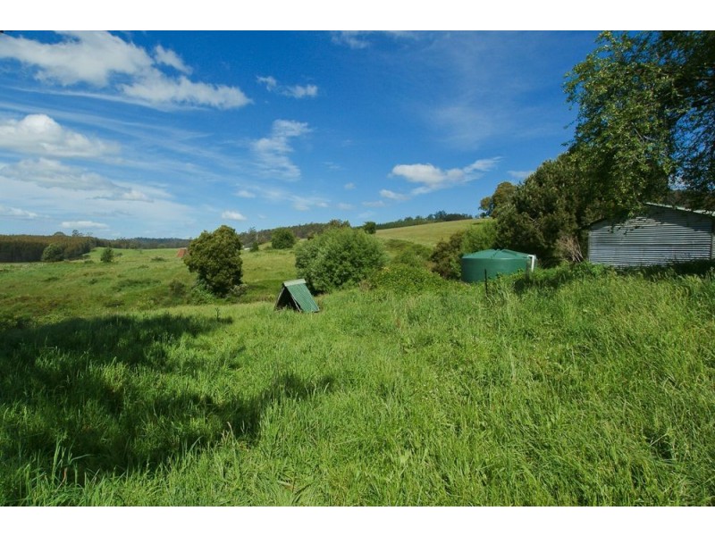 165 Cradle Mountain Road, Wilmot TAS 7310