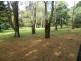 1 Short Street, Leith TAS 7315