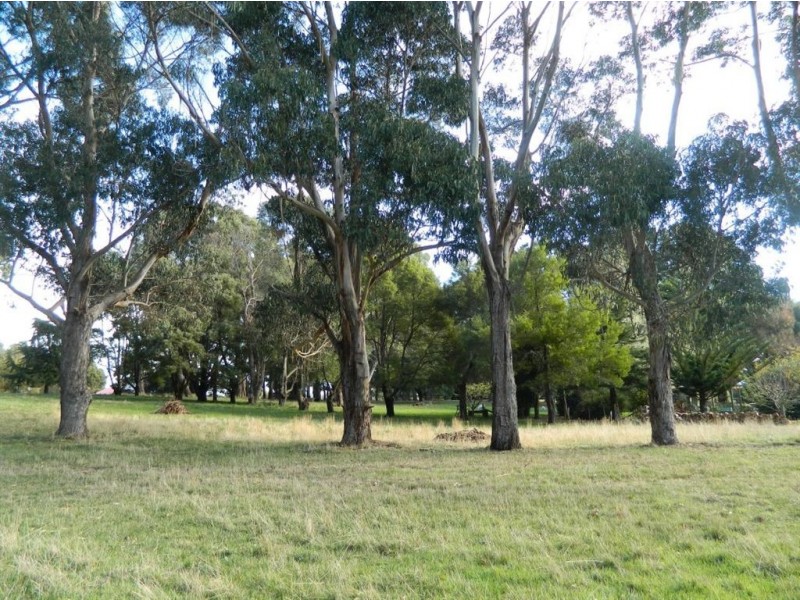 1 Short Street, Leith TAS 7315