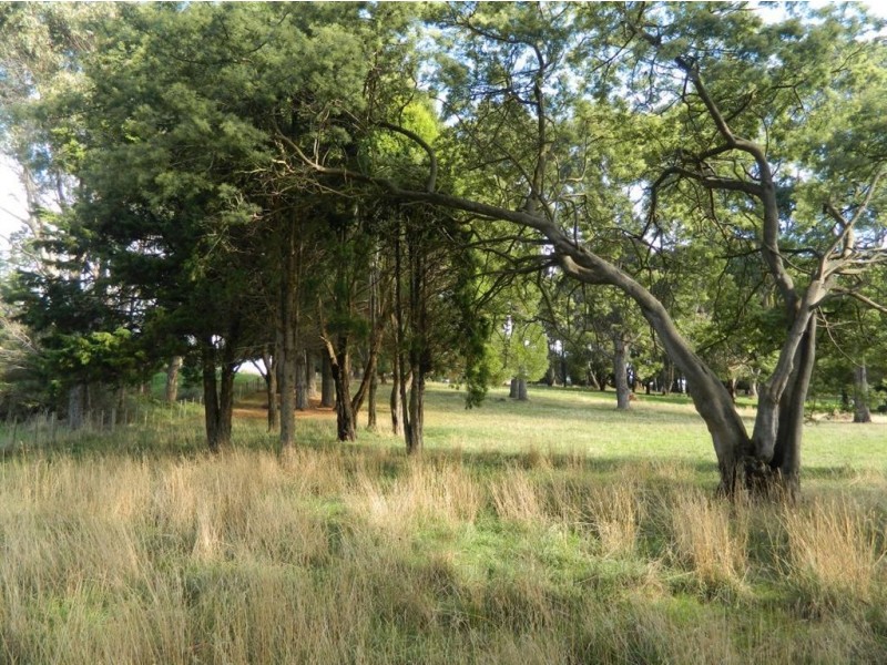 1 Short Street, Leith TAS 7315