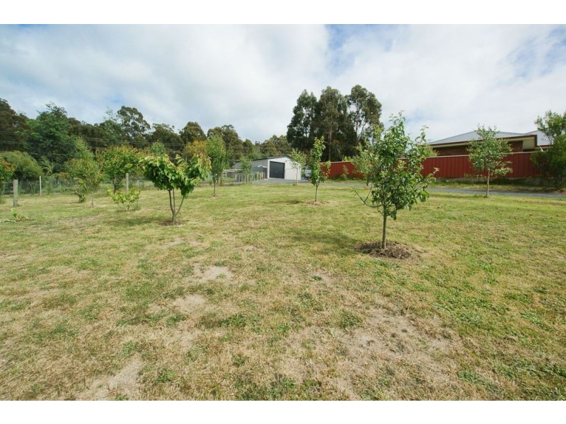 12 Hillwood Rise, Spreyton TAS 7310