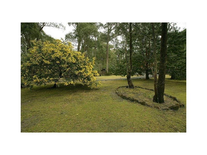 55 Springfield Park, Northdown TAS 7307