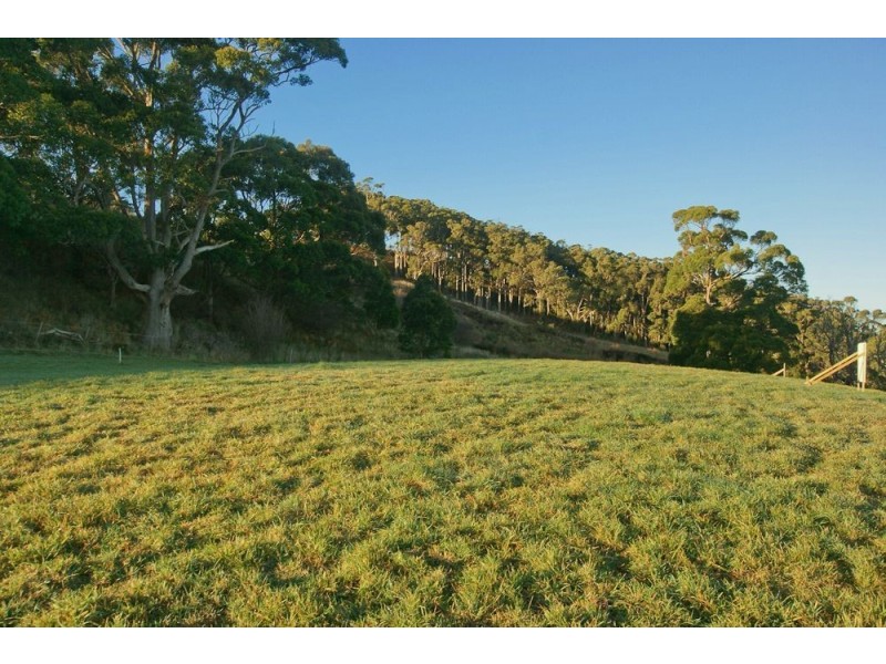 2B Davis Street, Leith TAS 7315