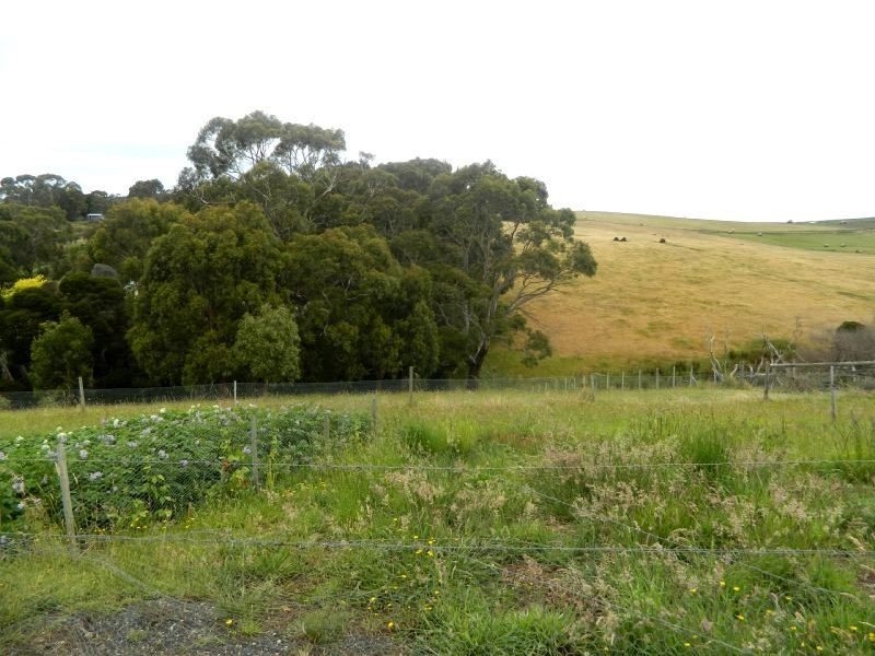 15 (Lot 1) Braddons Lookout Road, Leith TAS 7315