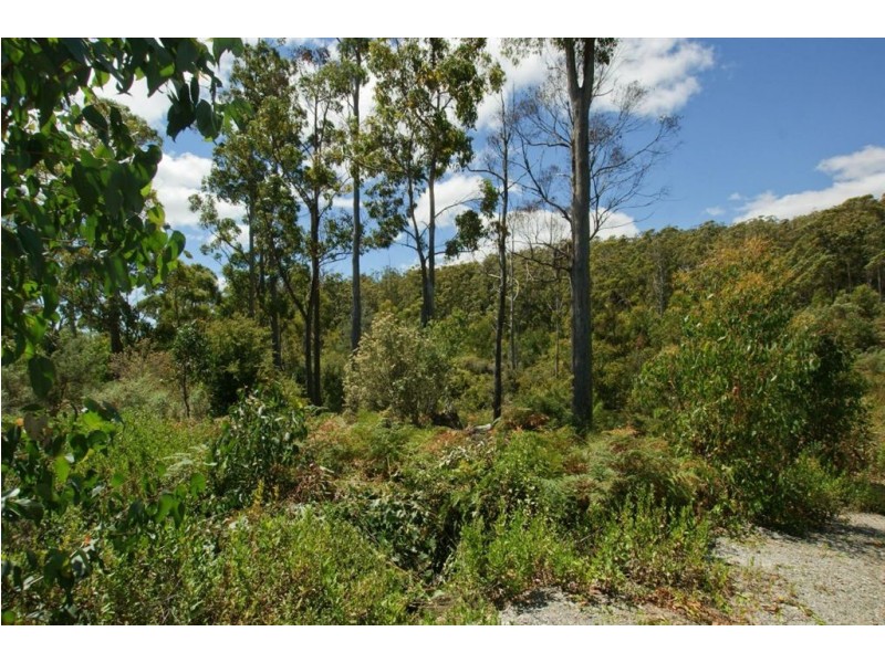15 Forest Heights Drive, Devonport TAS 7310