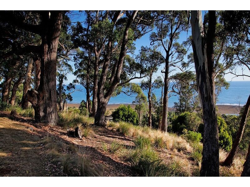 46 Hull Street, Leith TAS 7315