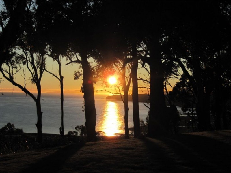 46 Hull Street, Leith TAS 7315