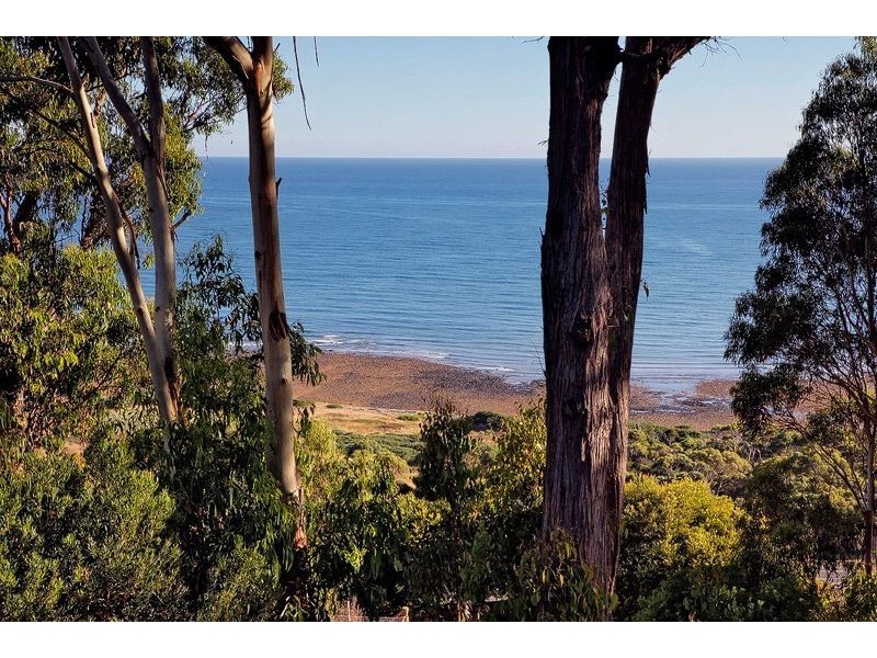 46 Hull Street, Leith TAS 7315