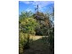 88 York Street, Devonport TAS 7310