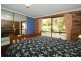 410 Paloona Road, Paloona TAS 7310