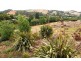 22 George Street, Forth TAS 7310