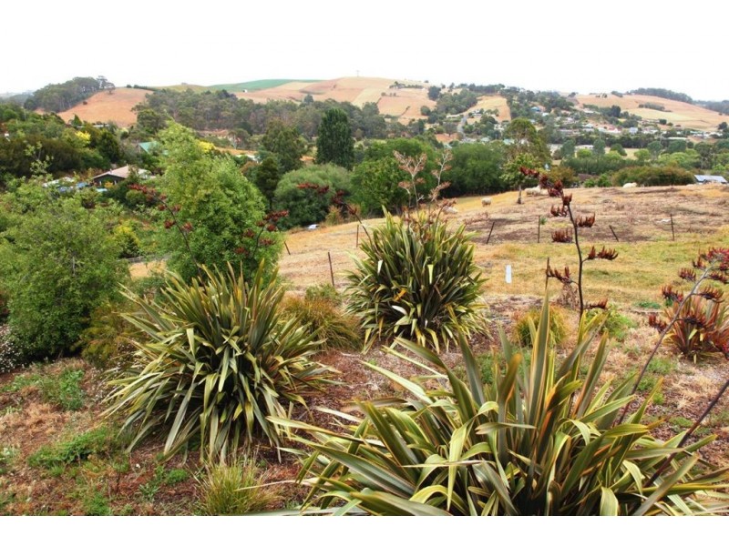 22 George Street, Forth TAS 7310