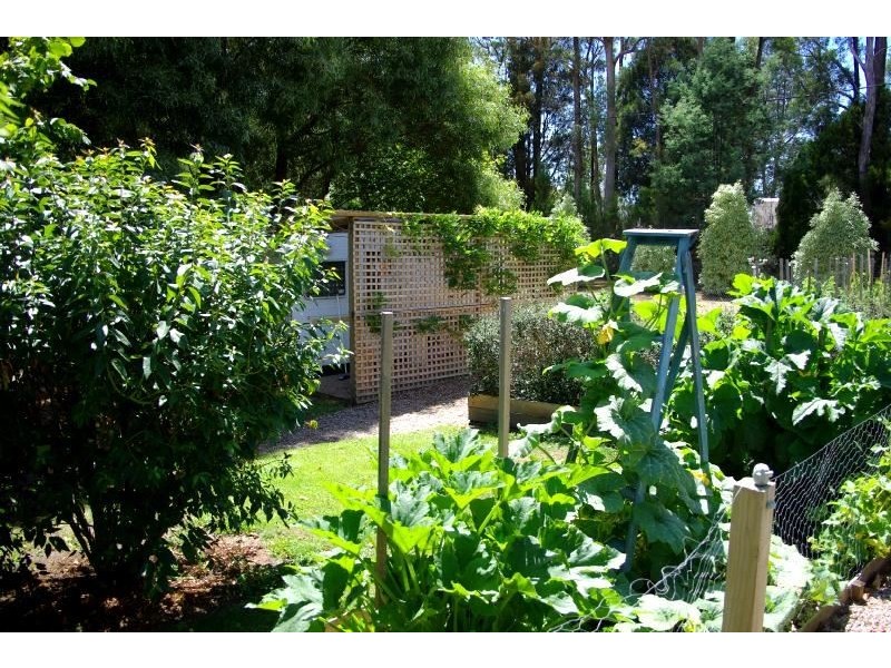 24 Garrett Street, Tarleton TAS 7310