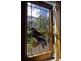 9a Lukin Street, Turners Beach TAS 7315