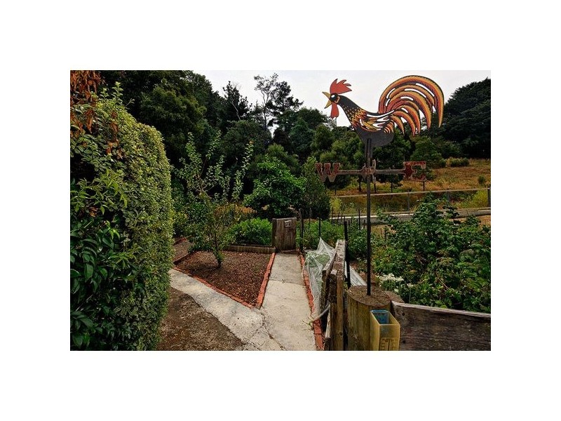 9 Hampden Street, Latrobe TAS 7307