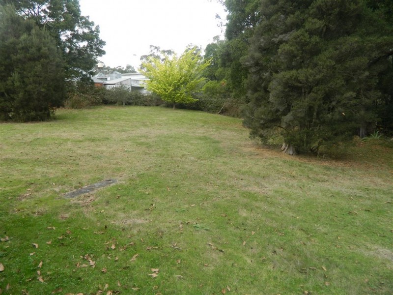 162 Moriarty Road, Latrobe TAS 7307