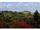 2 Gilbert Street, Forth TAS 7310
