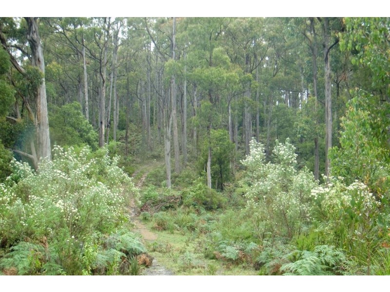 Lot 1 Sunnyside Road, Railton TAS 7305
