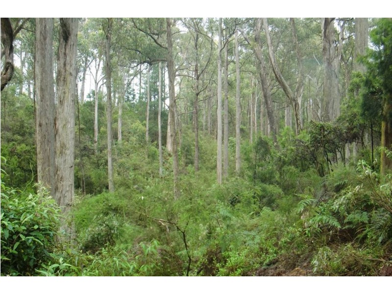 Lot 1 Sunnyside Road, Railton TAS 7305