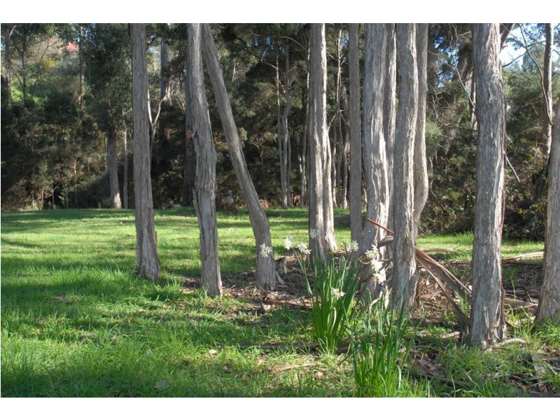 97 Don Road, Devonport TAS 7310