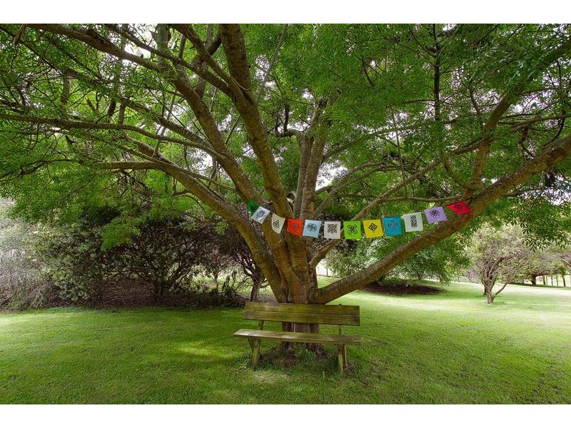 122 Wrenswood Drive, Quoiba TAS 7310