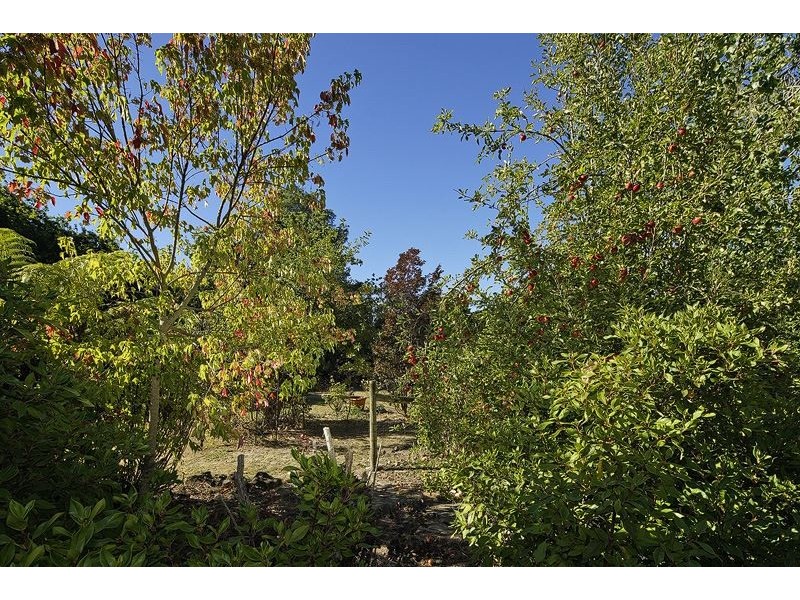 228 Sheffield Road, Spreyton TAS 7310