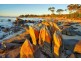 11 Cabernet Court, Hawley Beach TAS 7307