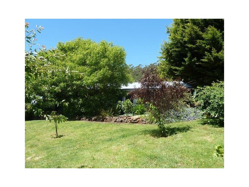 33 Lower Barrington Road, Paloona TAS 7310