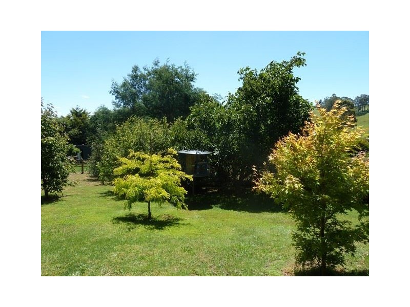 33 Lower Barrington Road, Paloona TAS 7310
