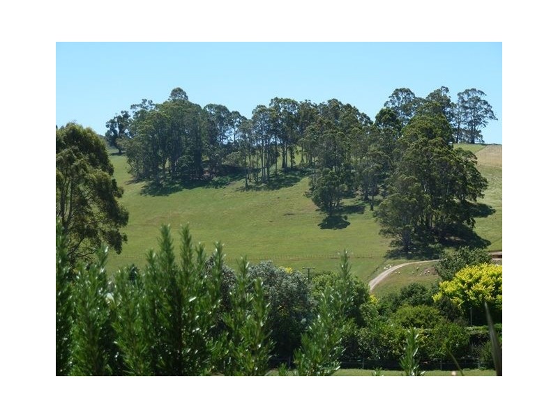 33 Lower Barrington Road, Paloona TAS 7310