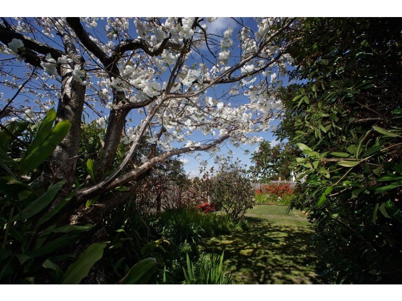 43 Surrey Street, Devonport TAS 7310