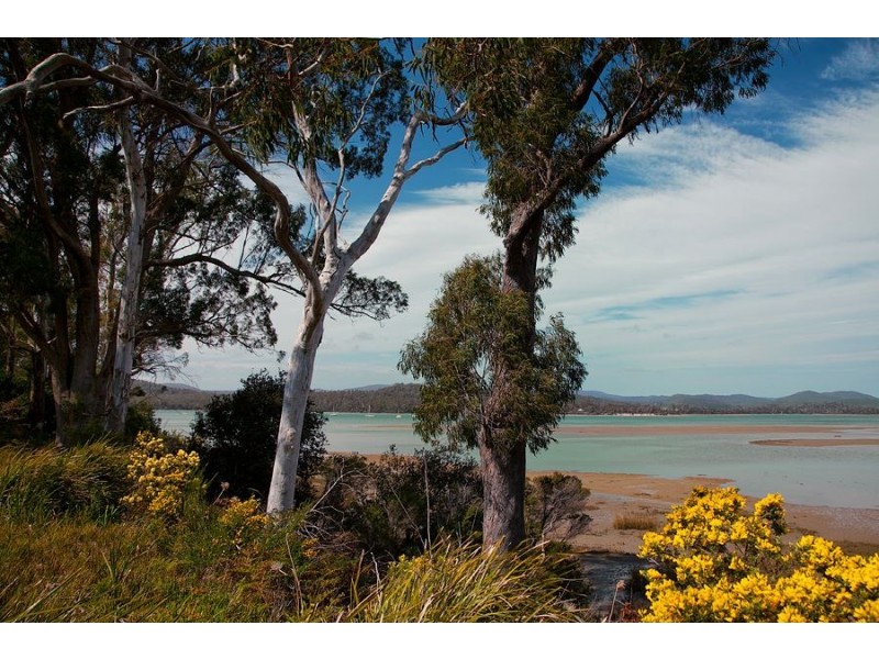 21 Pademelon Drive, Squeaking Point TAS 7307