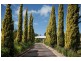 8 Bellevue Court, Ambleside TAS 7310