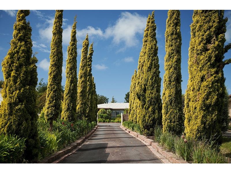 8 Bellevue Court, Ambleside TAS 7310