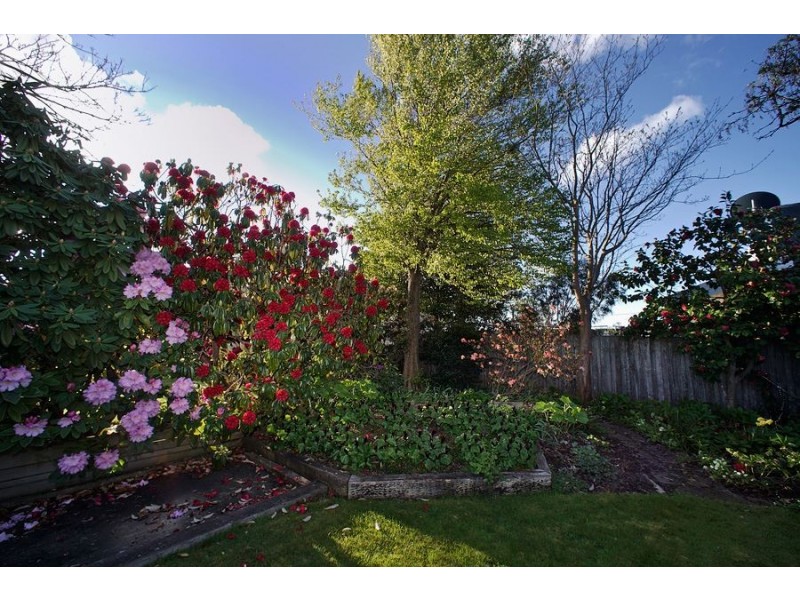 39 Victoria Parade, Devonport TAS 7310