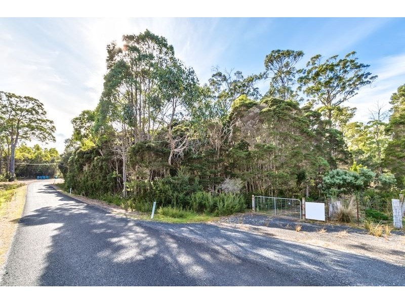 Victor Street North, Latrobe TAS 7307